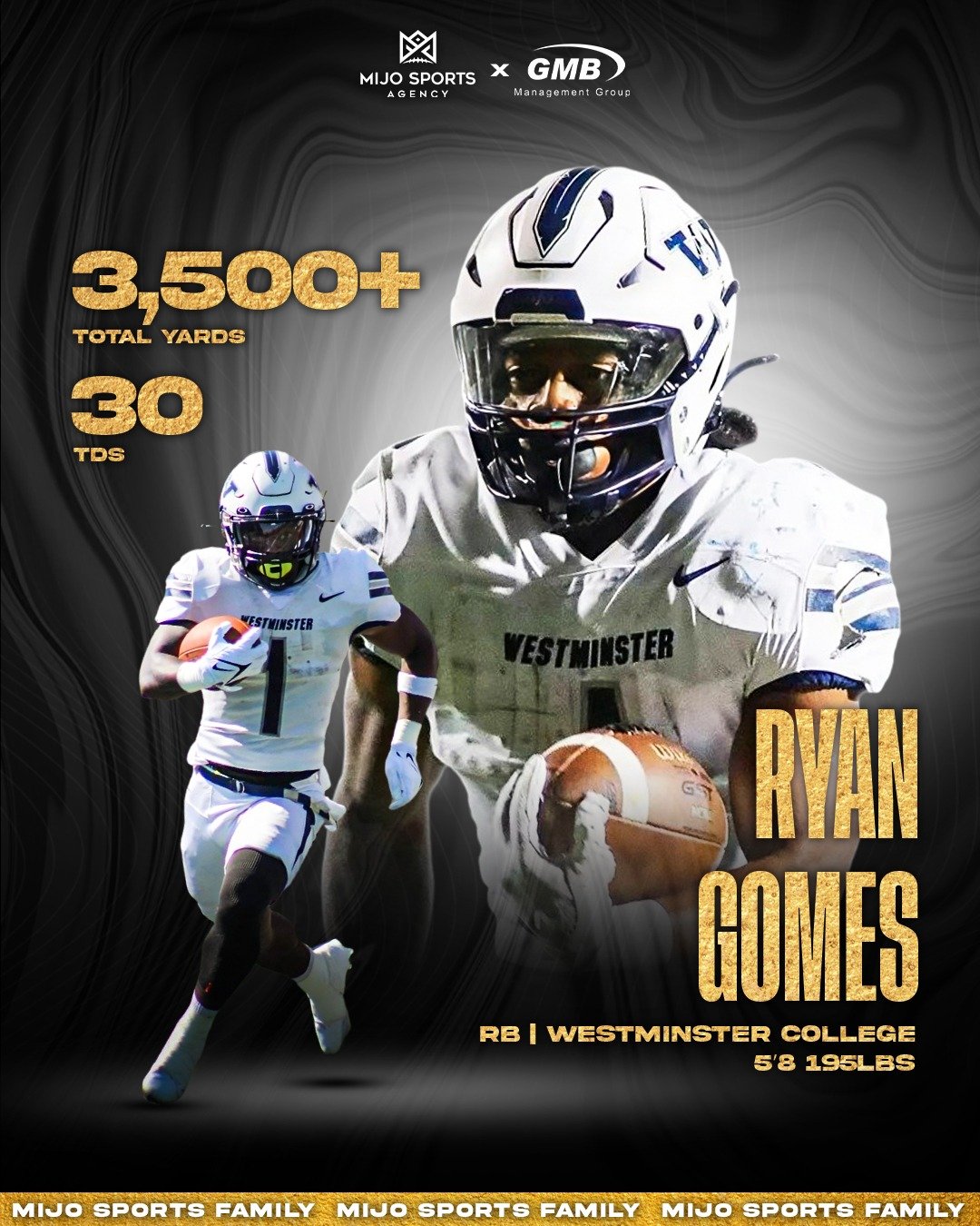 Ryan Gomes Stats